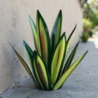 Agavelle Décoration Jardin Extérieur | Métal Résistant, Design Agave 1