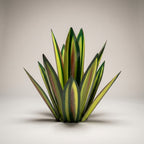 Agavelle Décoration Jardin Extérieur | Métal Résistant, Design Agave 2