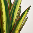 Agavelle Décoration Jardin Extérieur | Métal Résistant, Design Agave 3