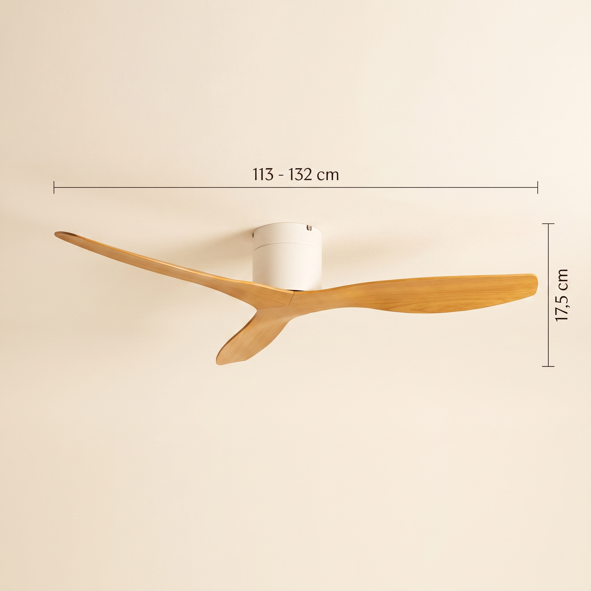 Élise Ventilateur Plafond | Design Silencieux avec Télécommande, Moderne 8