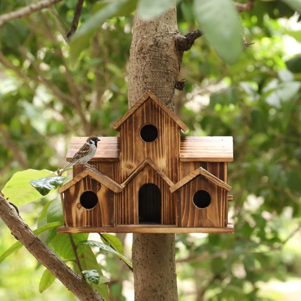 Nichoir Oiseau en Bois | Design Naturel, Résistant aux Intempéries 6
