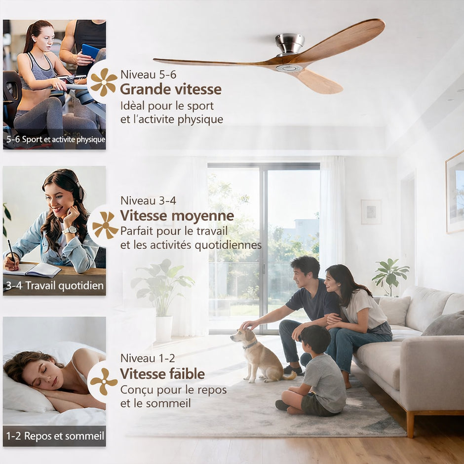 Victor Ventilateur Plafond Silencieux | Bois Massif, Éclairage LED, Réversible 7
