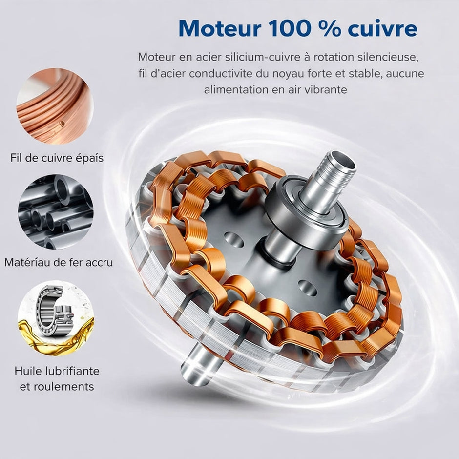 Victor Ventilateur Plafond Silencieux | Bois Massif, Éclairage LED, Réversible 8